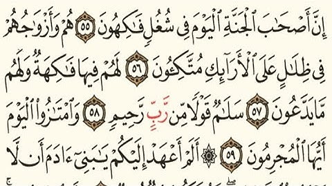 سورة يس من الاية 55 الى الاية 70 مكررة للقارئ اسلام صبحي