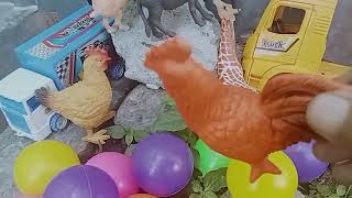 Menemukan Mainan Hewan Sapi Kerbau Ayam Bebek Kelinci Kambing jerapah Mobil Mobilan Bola