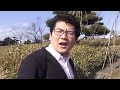 通れない谷くん