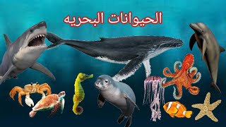 الحيوانات البحريه للاطفال / عالم الحيوان أطفال / الكائنات  البحريه / #sea_animals / kids vocabulary