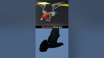 Mechanical Flying bird | #solidworks #cad #blender