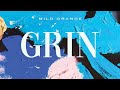 Miniature de la vidéo de la chanson Grin