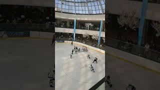 Canadian Hockey @west edmonton mall