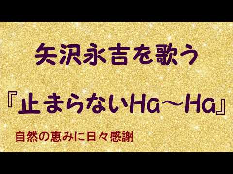 止まらないHa Ha 矢沢永吉を歌う 606 By 自然の恵みに日々感謝