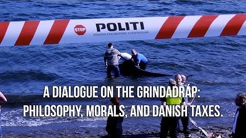 Operation Bloody Fjords: A Dialogue on the Grindadráp