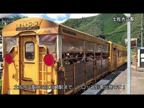 西部のいいとこ探検隊「ブルーベリー摘み＆しまんトロッコ乗車ツアー」