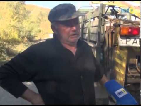 თხუთმეტი  წელი  ლამფის  შუქზე