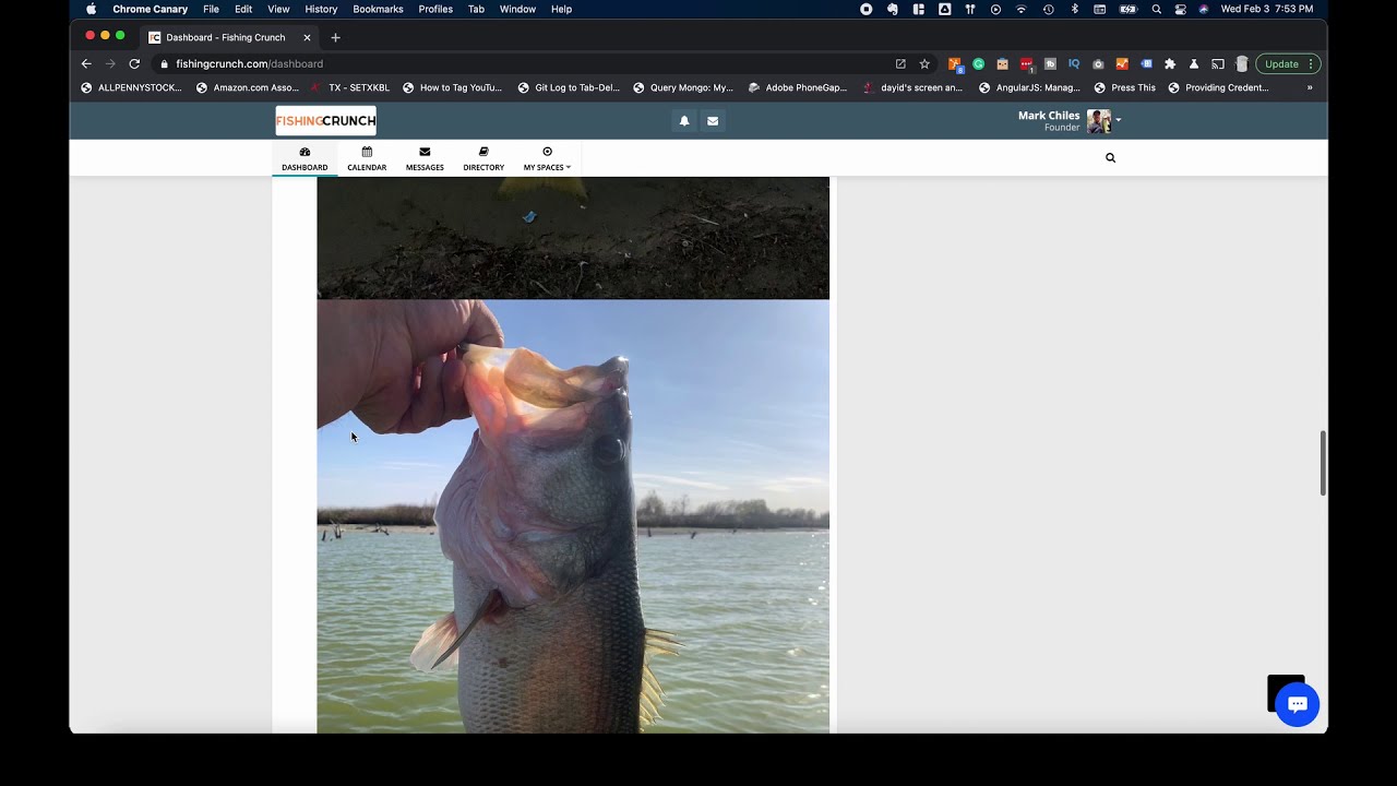 Fishing Crunch Quick Walkthrough