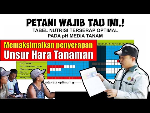 Video: Apakah yang dimaksudkan dengan peningkatan pH?