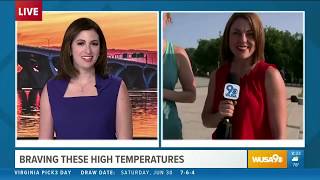 We the Dogs DC: Tips on keeping pets cool during the summer heat