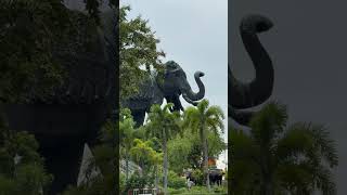Huge elephant 🐘! ￼
