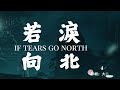 大歡 若淚向北 大歡 若淚向北