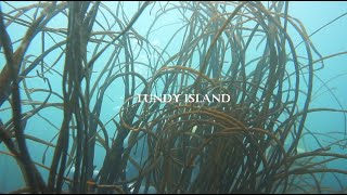 Lundy Island North Devon