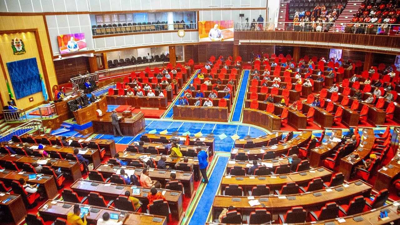 Salome Makamba: Kwa nini Mnaweka Faini Kubwa I Spika wa Bunge Ambana Salome I Amtaka Atoe Ufafanuzi