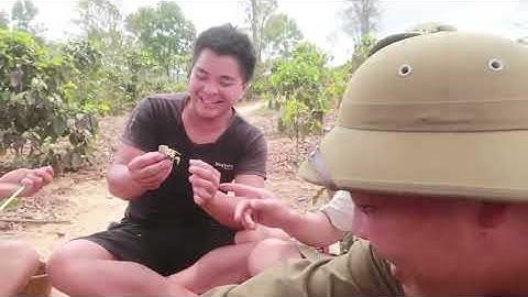 Hoa Chuối Rừng Chấm Muối Ớt | Nhịp Sống Tây Bắc