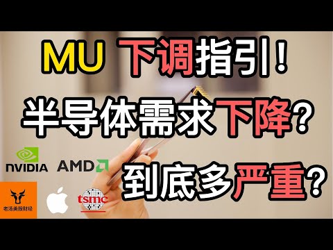 美光科技MU下调指引! 半导体需求下降? 到底有多严重? 其他公司的影响?【美股分析】