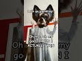 Aw dang it #foryou #fyp #furry #fursuit #therian #ebay #viral #fursona #cute #funny #lol #meme #oop