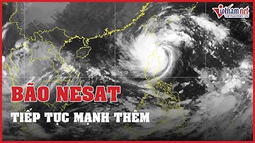 Bão Nesat tiếp tục mạnh thêm, hướng thẳng vào Biển Đông | Vietnamnet