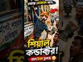 মানুষের সাথে শিয়াল হেলপারের কান্ড । এমন শিক্ষা কে দিল#Fox Helper#AI Entertainment