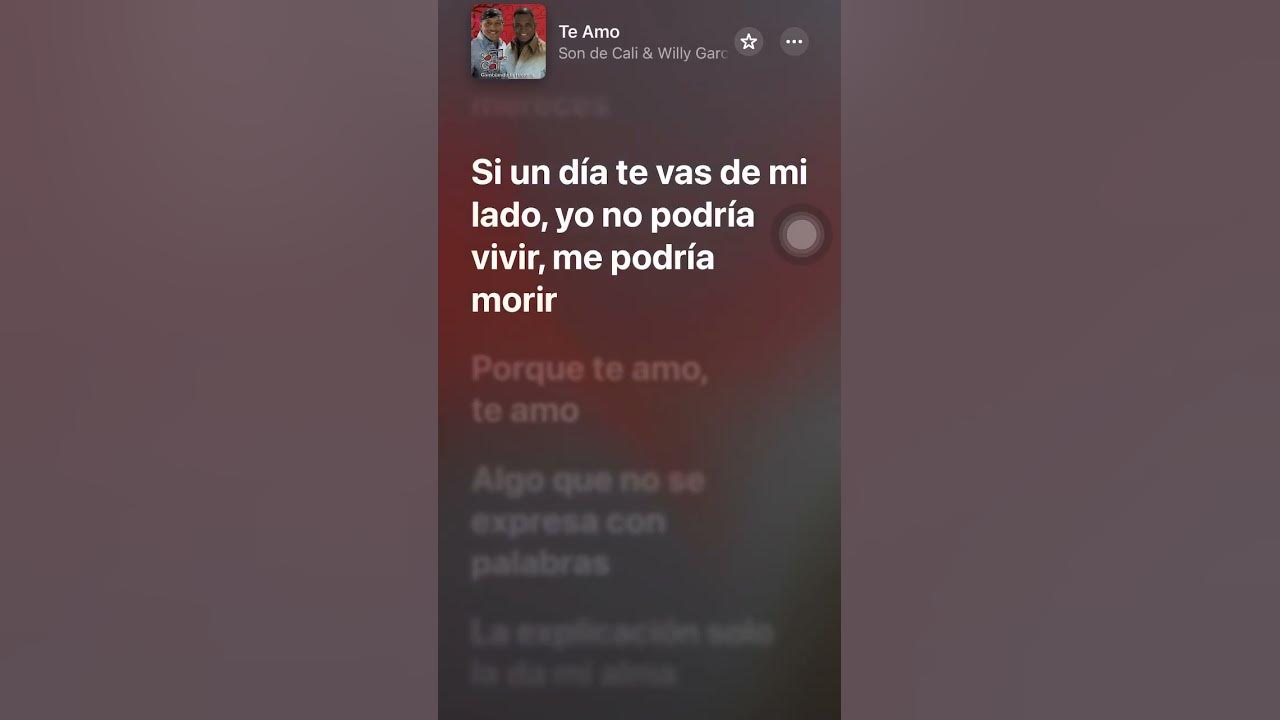 Te amo - Willy García#willygarcia #salsa #salsaromantica #parati #viral