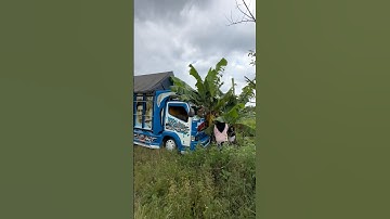 Yaampun bumil malah tabrakin😭