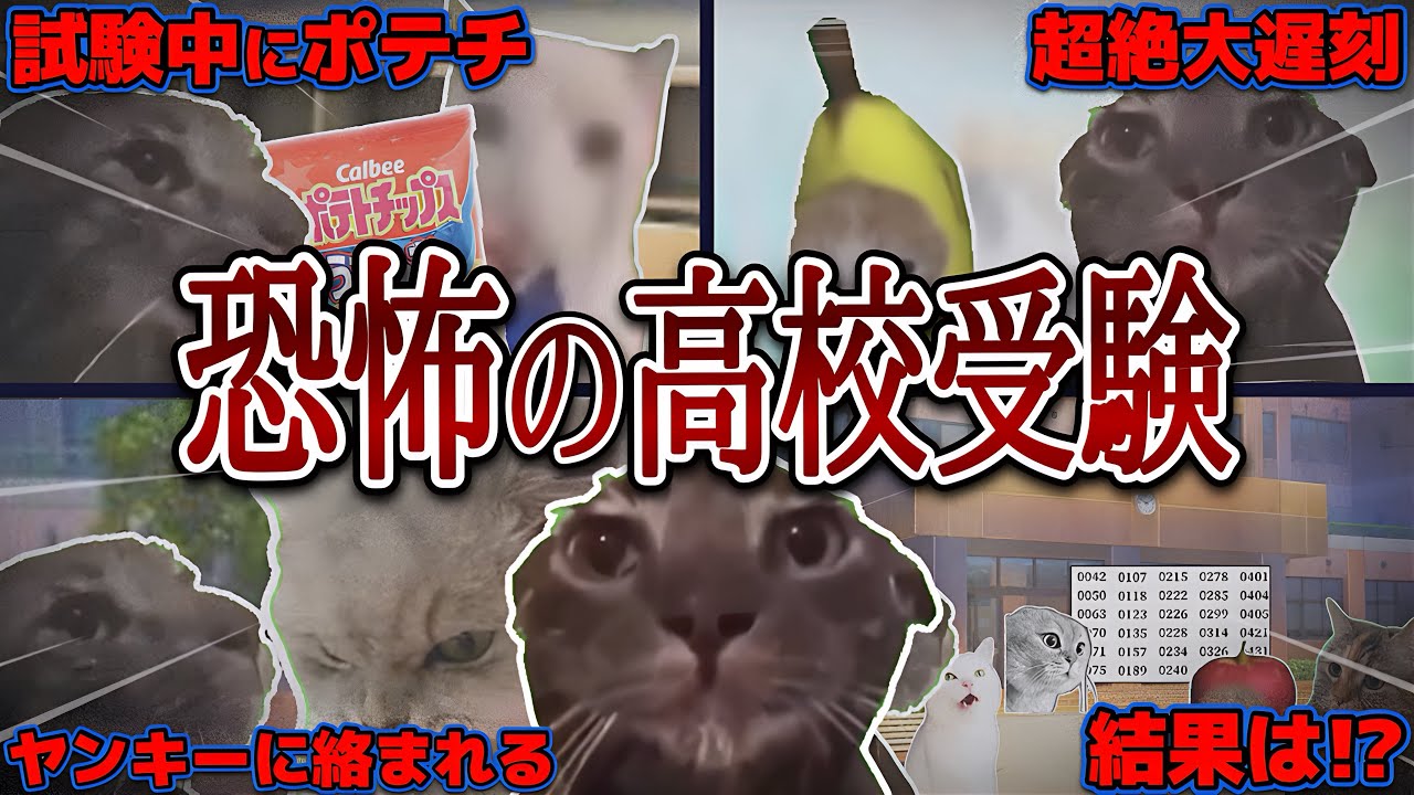 【実体験】高校受験が恐怖だらけだった話【猫ミーム】