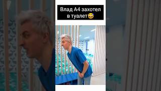 Самое популярное видео А4 в тиктоке