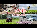 EP.89 | แม่บ้านญี่ปุ่นกับชีวิตในไร่ ที่ดินเกือบ 300ไร่ แต่ไม่จ้างคนงาน? | รถอเนกประสงค์คันใหม่มาแล้ว