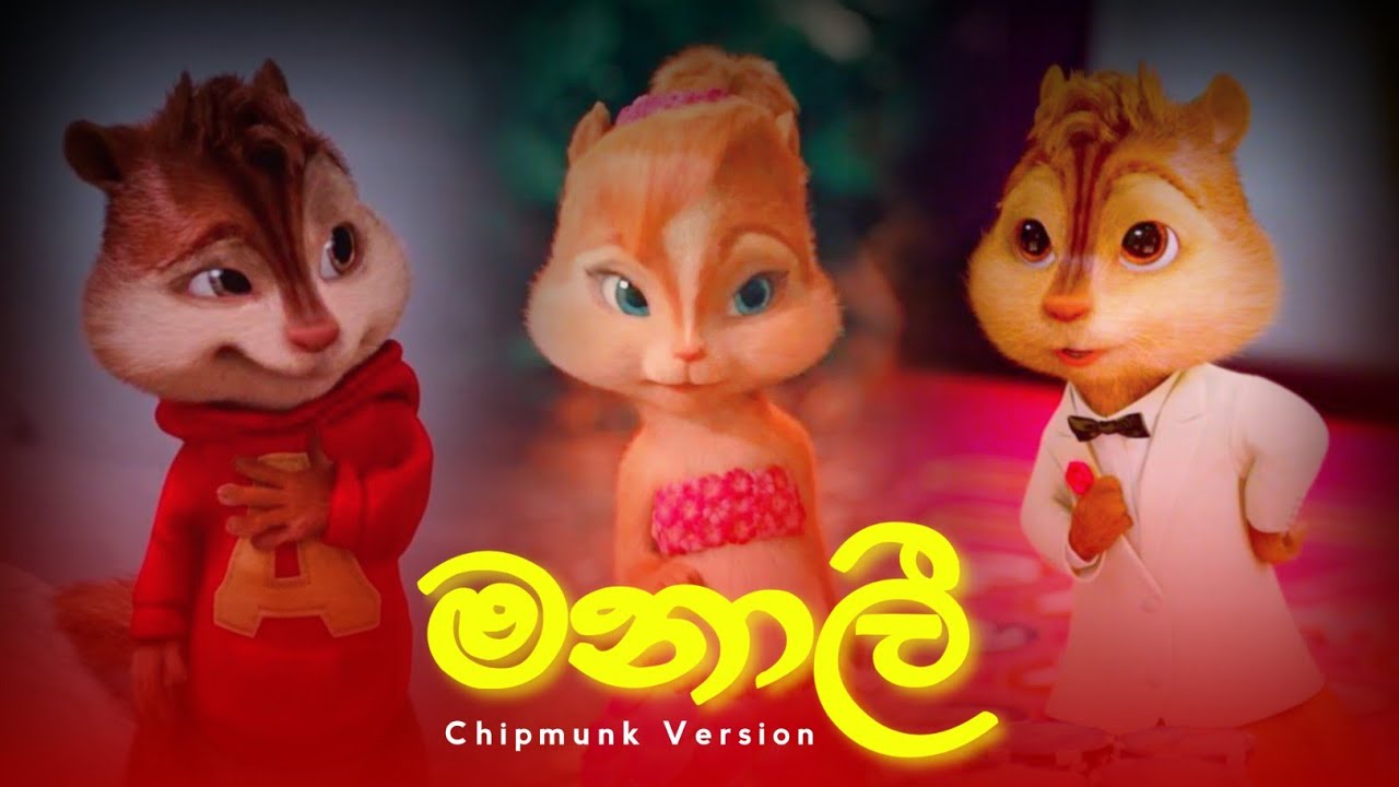 Manalee (මනාලී) | Chipmunk Version | Lyrics Video | Visha Recodz