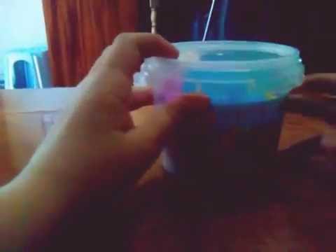 გენეტიკური ქვიშა