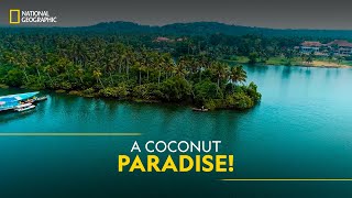 A Coconut Paradise! | It Happens Only in India | National Geographic