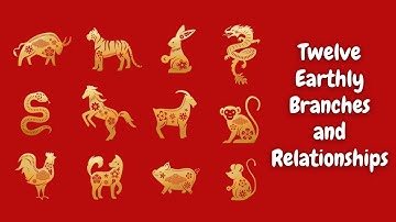 Twelve Earthly Branches: What is Twelve Earthly Branches and Its Relationships (地支）