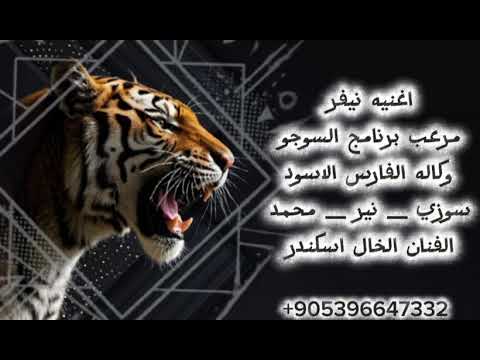 اغنيه نيفر اسطوره برنامج السوجو اغاني حماسيه طناخه وتحديات الدخول الملكي الفنان الخال اسكندر