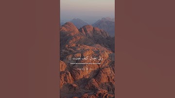 (أفلا ينظرون إلى الإبل كيف خلقت17) سورة الغاشيه | القارئ عبدالرحمن مسعد✨#القارئ_عبدالرحمن_مسعد#F28_9