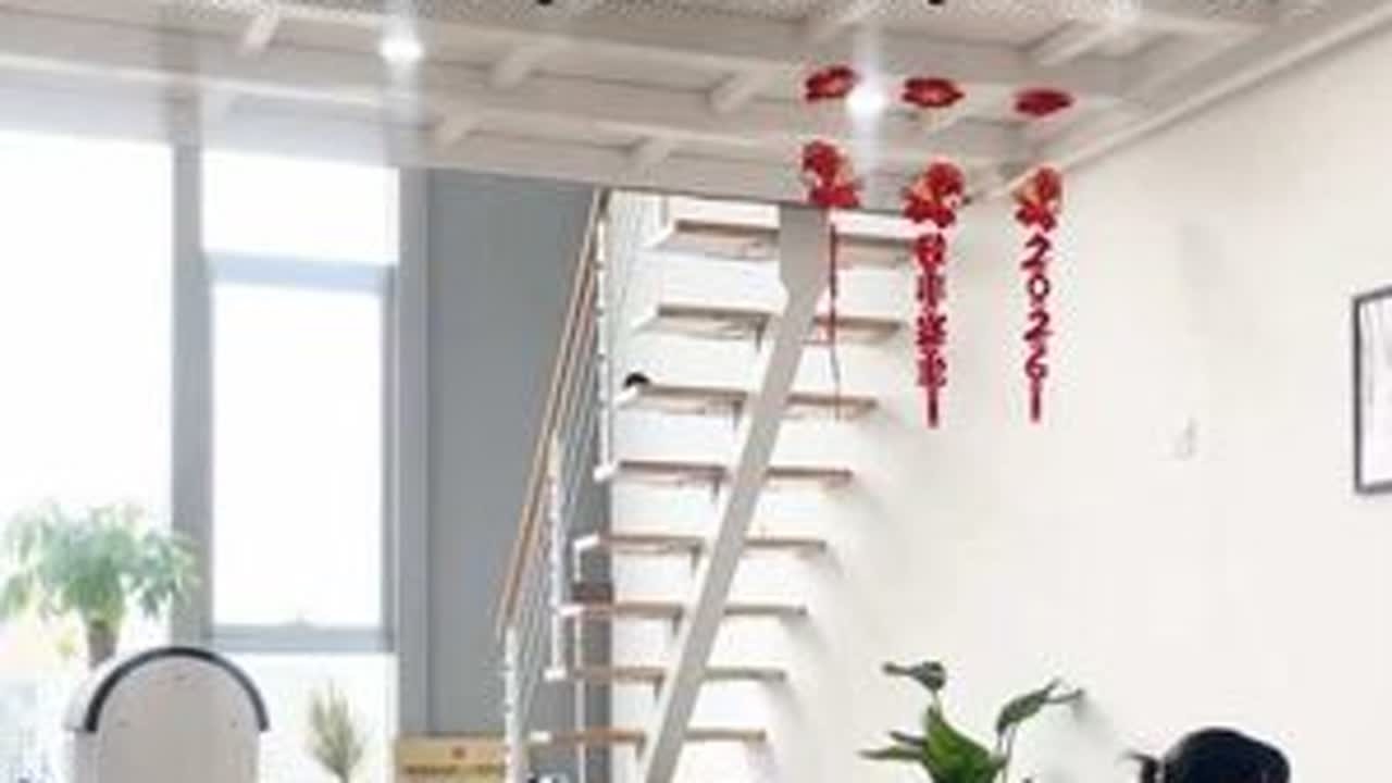 此视频有没有基础都适合跟练尤其是日常久坐 体态不好 腰背酸痛的课程结合了腰背脊柱的放松 开肩的练习大猫趴改善体态  蝗虫式加强背部力量等等配合呼吸 深入练习#拉伸#瑜伽 #见人不如健身...