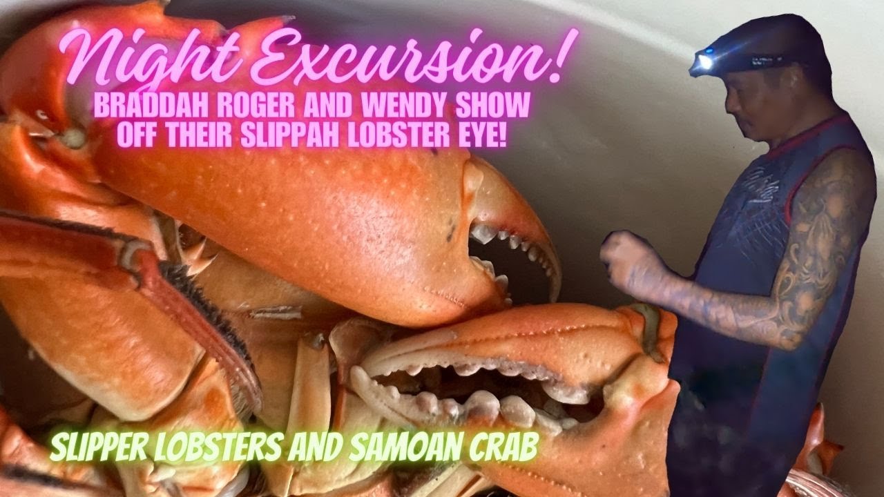 Night Excursion! Torching Mud Crab (Samoan Crab) and Slipper