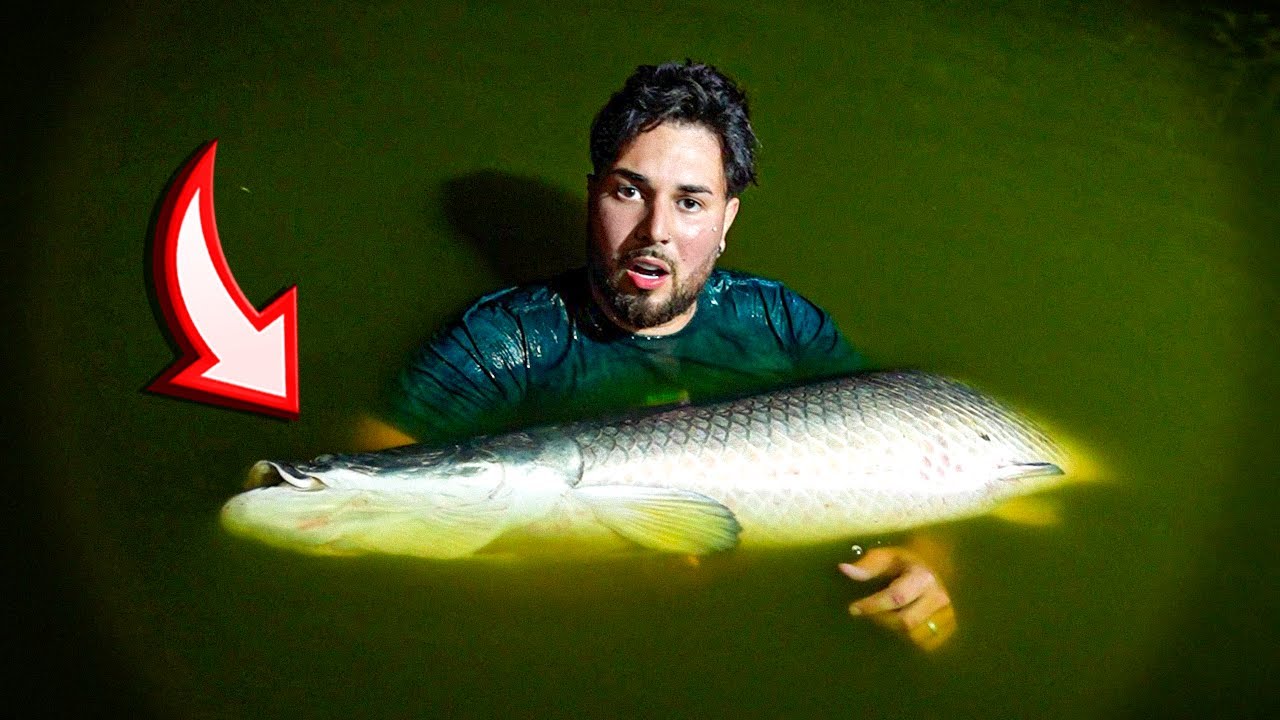 O PIRARUCU DO RENATO MORREU 😭 * maior peixe da fazenda *