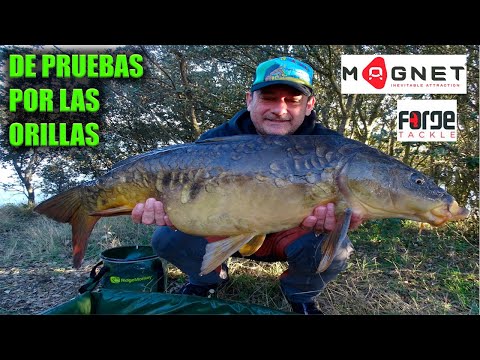 SONDAS DEEPER ** Si - El Rincon Del Carpfishing S.L.