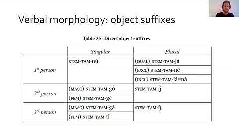 Barayin morphology and tone