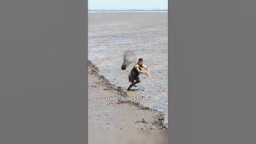 Độc lạ chạy để bắt cá #shorts