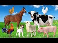 20 min Farm Animals for Kids Animal name and sound Learn animals