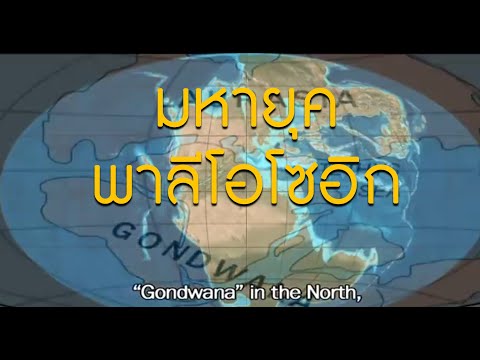 ซากดึกดำบรรพ์ มหายุคพาลีโอโซอิก l สารคดีสั้น l บางกอกบุรี