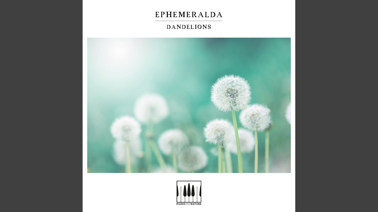 Watch Dandelions on YouTube Watch Dandelions on YouTube