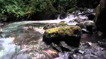 تاملات في سورةيوسف....    ناصر العمر