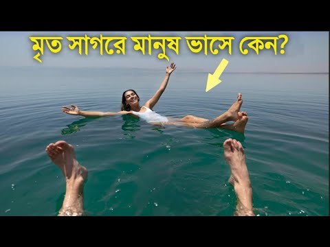 ভিডিও: মৃত সাগরে কি কিছু থাকতে পারে?