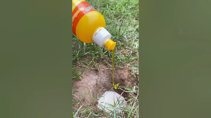 Survival Skills: SIMPLE and USEFUL with catch crab in hole #camping #survival #bushcraft