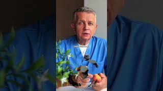 Почему мужчины так просят это? #близость #женскоездоровье #здоровье #отношения #мужскоездоровье