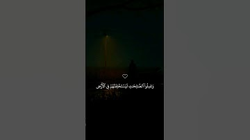 تلاوة خاشعة جميلة بصوت ماهر المعيقلي ارح سمعك ♡ #ماهر_المعيقلي