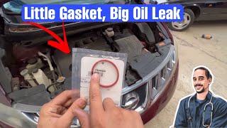 nissan murano has major oil leak | how to replace the oil cooler gasket (common issue)  #nissan