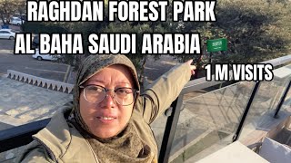 Ini Dia Hutan Cemara Yang Viral Di Al Baha Saudi Arabia Raghdan Forest Park 